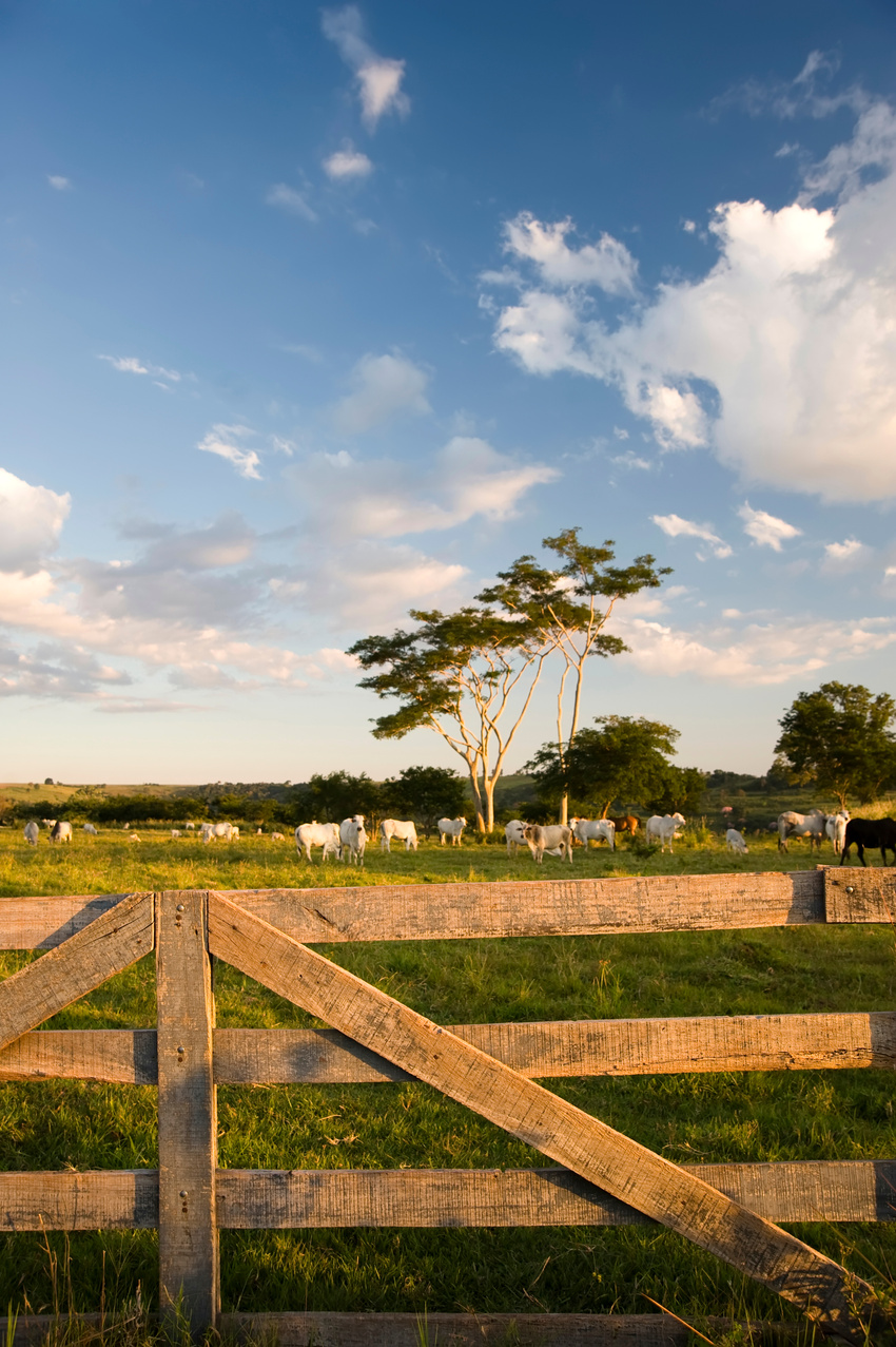 Farm